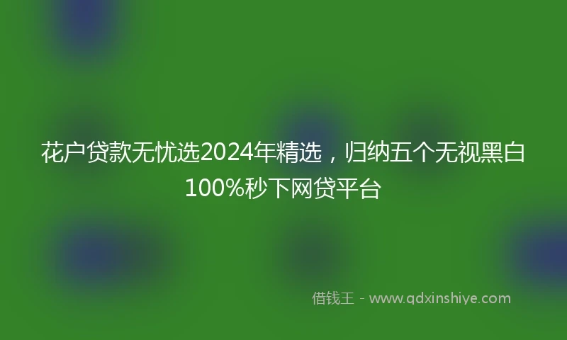 花户贷款无忧选2024年精选，归纳五个无视黑白100%秒下网贷平台