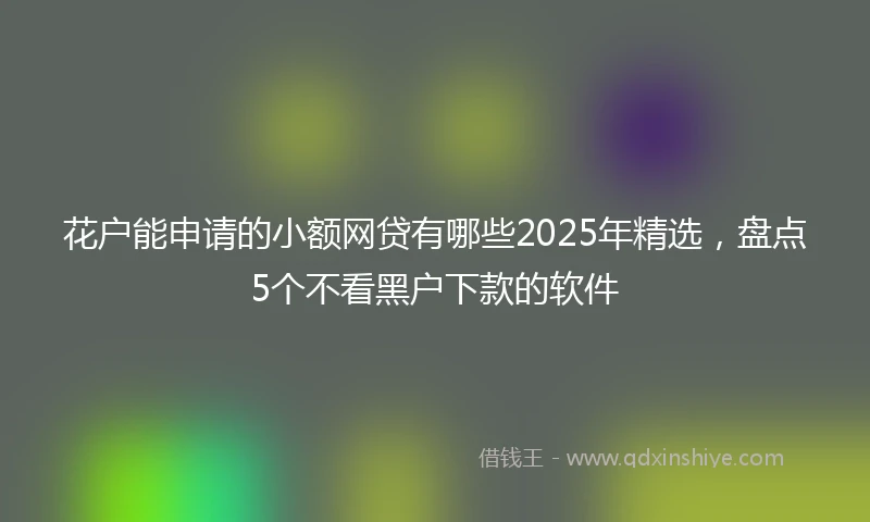 花户能申请的小额网贷有哪些2025年精选，盘点5个不看黑户下款的软件