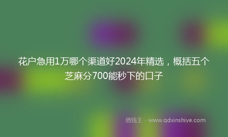 花户急用1万哪个渠道好2024年精选，概括五个芝麻分700能秒下的口子