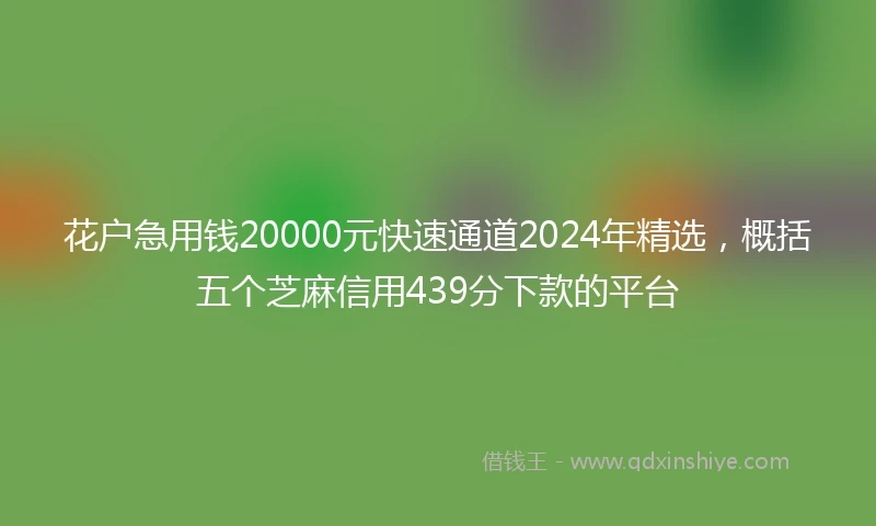 花户急用钱20000元快速通道2024年精选,概括五个芝麻信用439分下款的平台