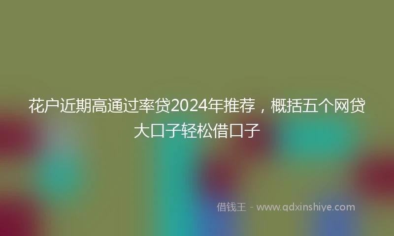 花户近期高通过率贷2024年推荐，概括五个网贷大口子轻松借口子