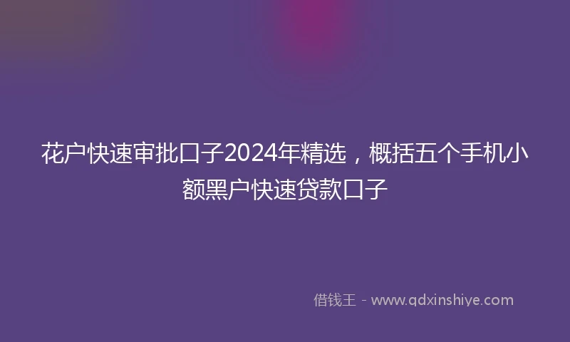 花户快速审批口子2024年精选，概括五个手机小额黑户快速贷款口子