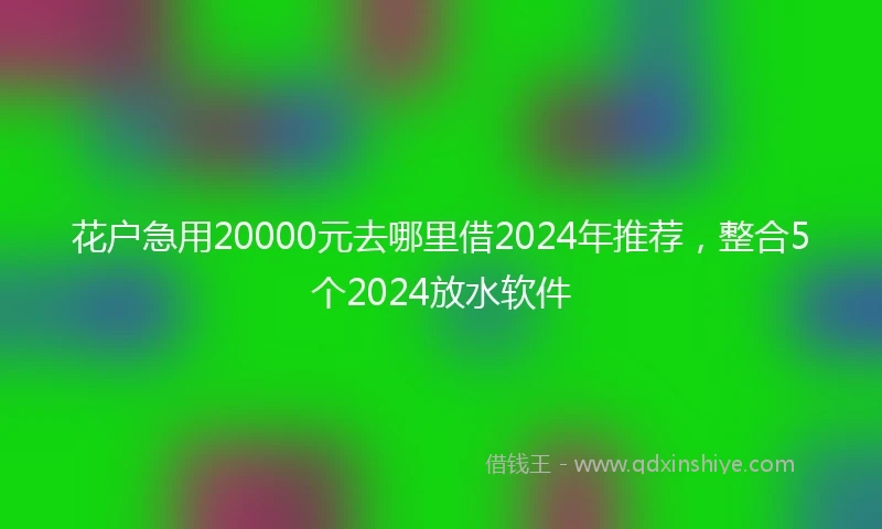 花户急用20000元去哪里借2024年推荐，整合5个2024放水软件