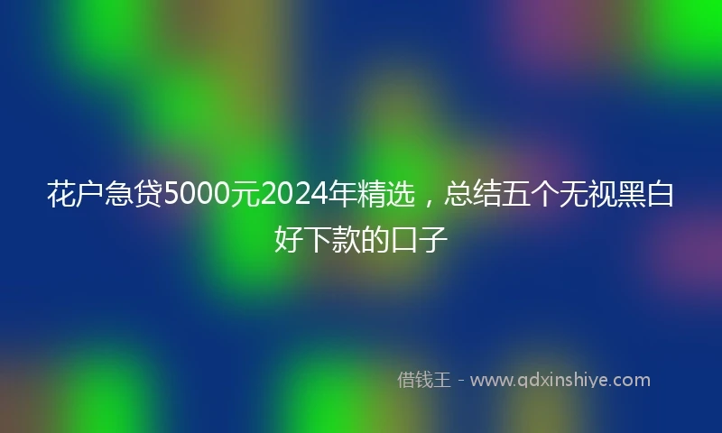 花户急贷5000元2024年精选，总结五个无视黑白好下款的口子