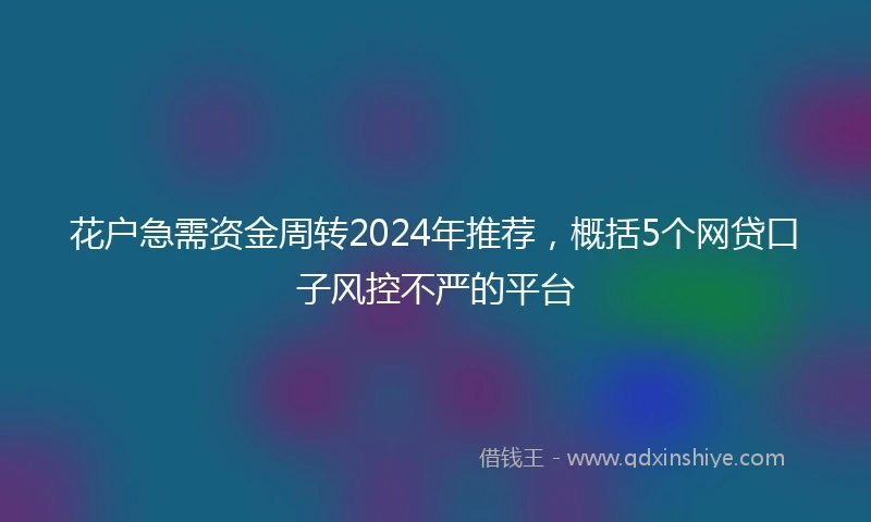 花户急需资金周转2024年推荐，概括5个网贷口子风控不严的平台