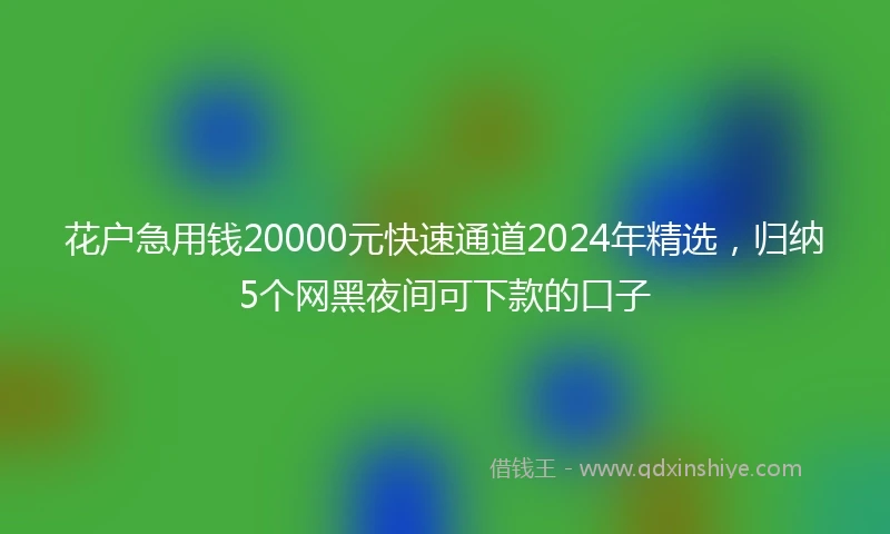 花户急用钱20000元快速通道2024年精选，归纳5个网黑夜间可下款的口子