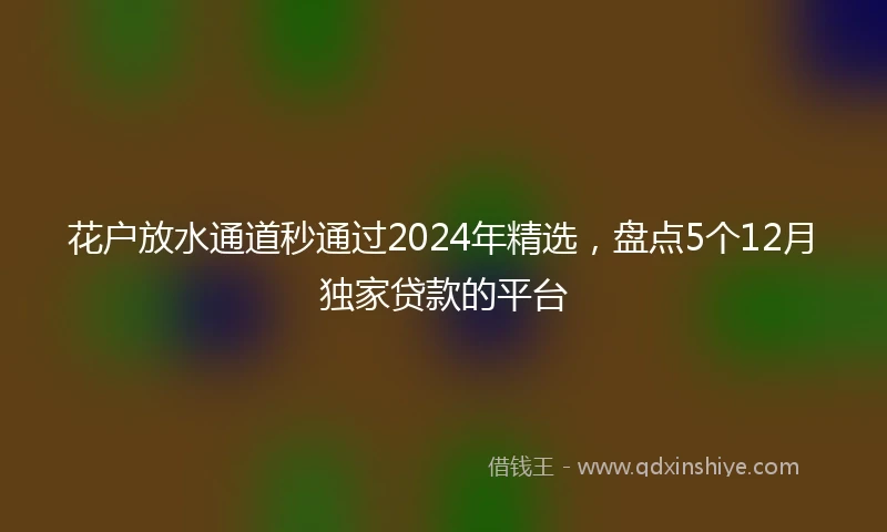 花户放水通道秒通过2024年精选，盘点5个12月独家贷款的平台