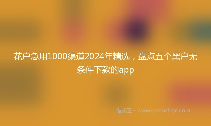 花户急用1000渠道2024年精选，盘点五个黑户无条件下款的app