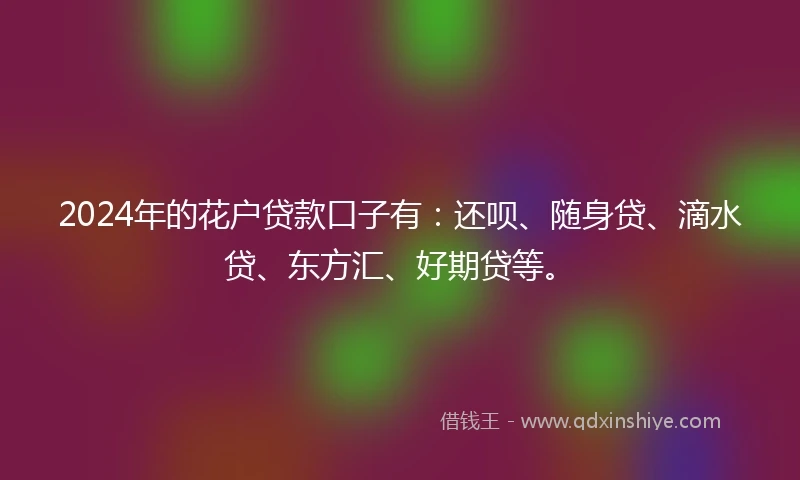 2024年的花户贷款口子有：还呗、随身贷、滴水贷、东方汇、好期贷等。