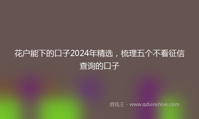 花户能下的口子2024年精选，梳理五个不看征信查询的口子