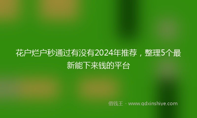 花户烂户秒通过有没有2024年推荐，整理5个最新能下来钱的平台