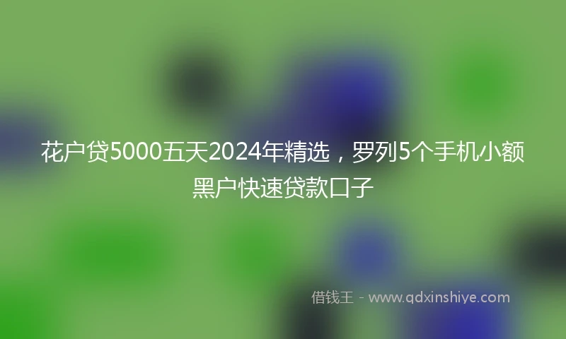 花户贷5000五天2024年精选，罗列5个手机小额黑户快速贷款口子