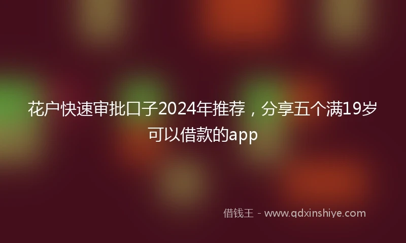 花户快速审批口子2024年推荐，分享五个满19岁可以借款的app