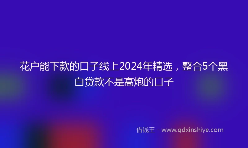 花户能下款的口子线上2024年精选，整合5个黑白贷款不是高炮的口子