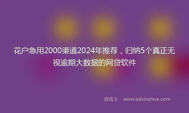 花户急用2000渠道2024年推荐，归纳5个真正无视逾期大数据的网贷软件
