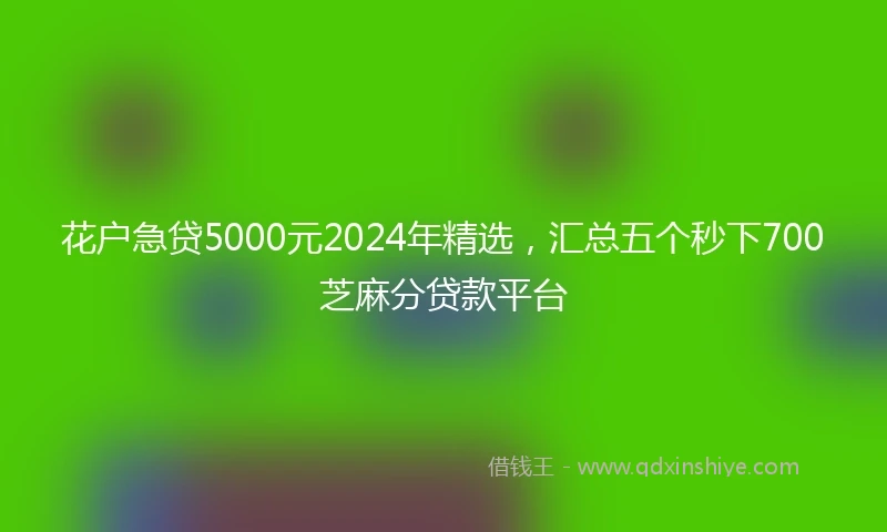 花户急贷5000元2024年精选，汇总五个秒下700芝麻分贷款平台