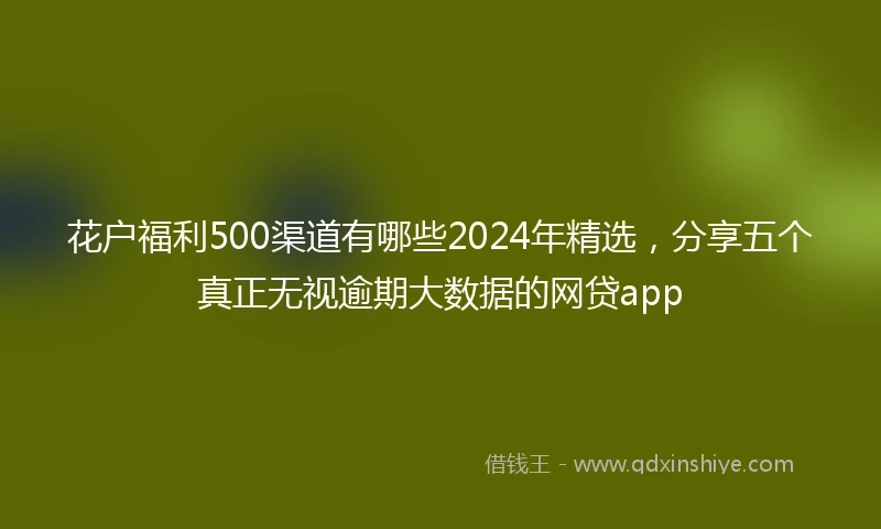 花户福利500渠道有哪些2024年精选，分享五个真正无视逾期大数据的网贷app