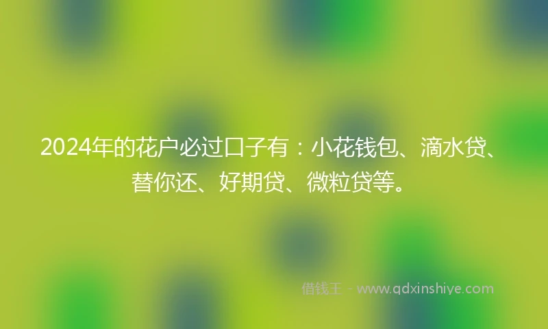 2024年的花户必过口子有：小花钱包、滴水贷、替你还、好期贷、微粒贷等。