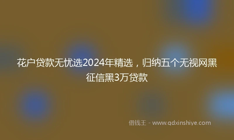 花户贷款无忧选2024年精选，归纳五个无视网黑征信黑3万贷款