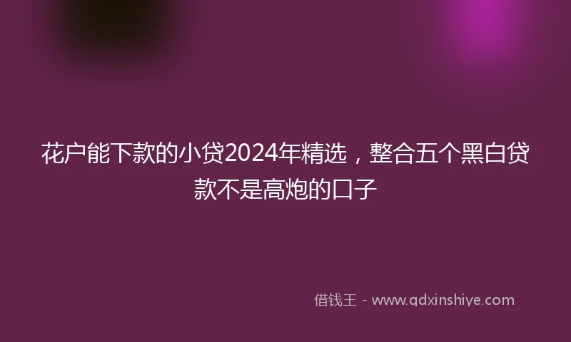 花户能下款的小贷2024年精选，整合五个黑白贷款不是高炮的口子