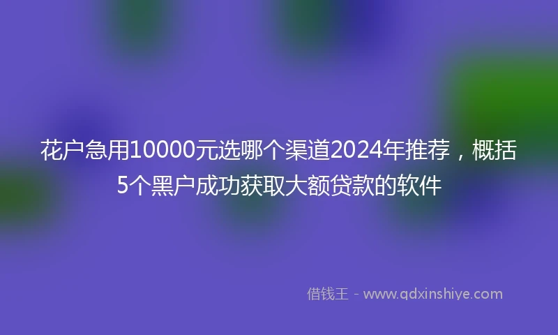 花户急用10000元选哪个渠道2024年推荐,概括5个黑户成功获取大额贷款的软件