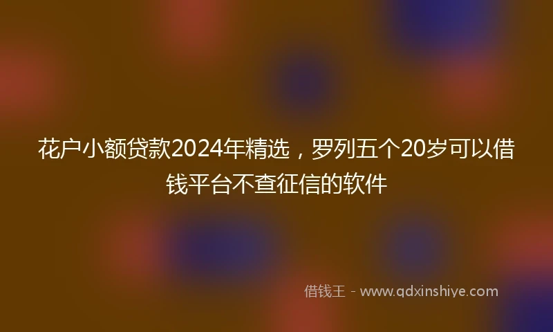 花户小额贷款2024年精选,罗列五个20岁可以借钱平台不查征信的软件