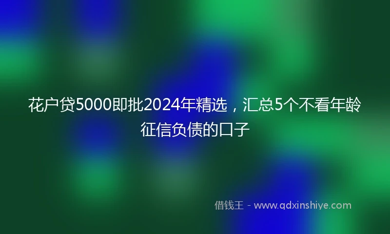 花户贷5000即批2024年精选，汇总5个不看年龄征信负债的口子