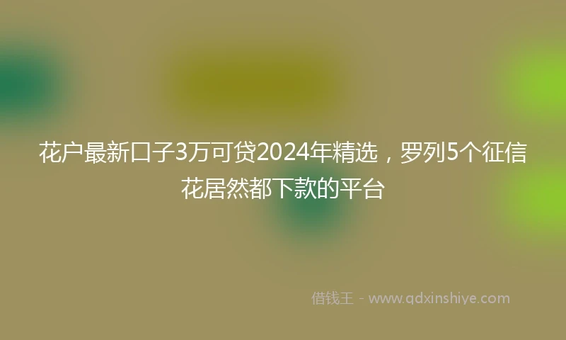 花户最新口子3万可贷2024年精选，罗列5个征信花居然都下款的平台
