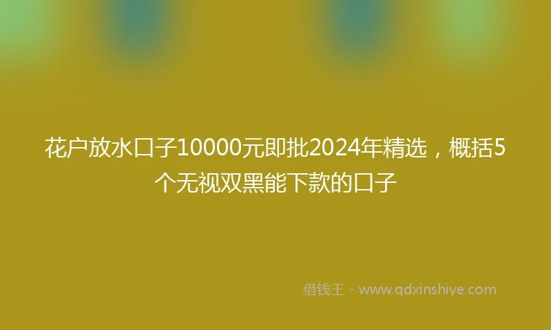 花户放水口子10000元即批2024年精选，概括5个无视双黑能下款的口子