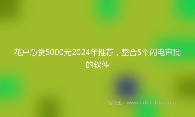 花户急贷5000元2024年推荐，整合5个闪电审批的软件