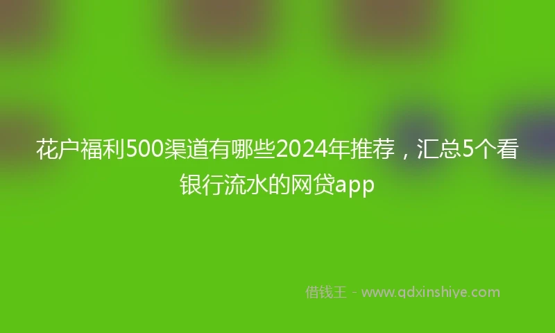 花户福利500渠道有哪些2024年推荐，汇总5个看银行流水的网贷app