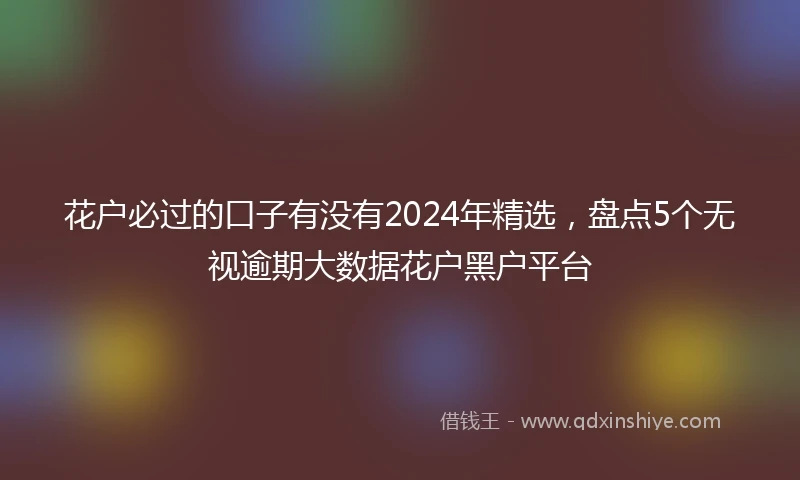 花户必过的口子有没有2024年精选，盘点5个无视逾期大数据花户黑户平台