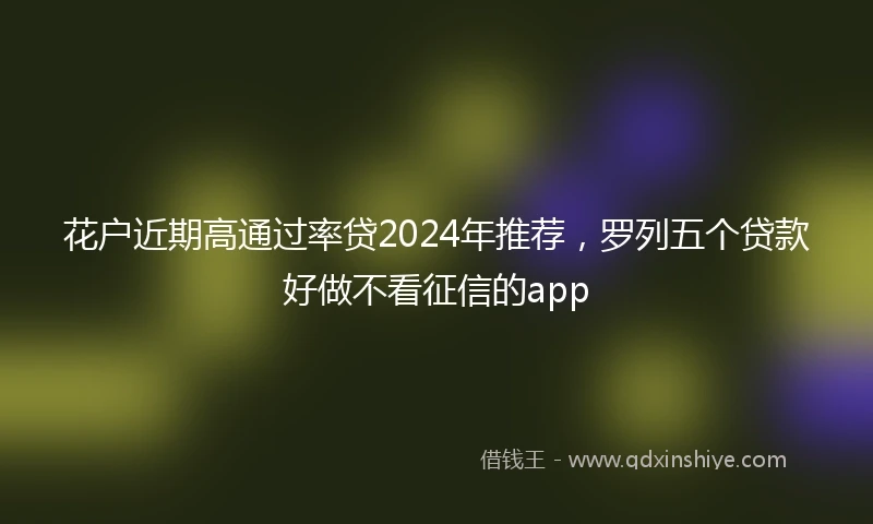 花户近期高通过率贷2024年推荐，罗列五个贷款好做不看征信的app