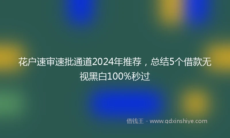 花户速审速批通道2024年推荐，总结5个借款无视黑白100%秒过