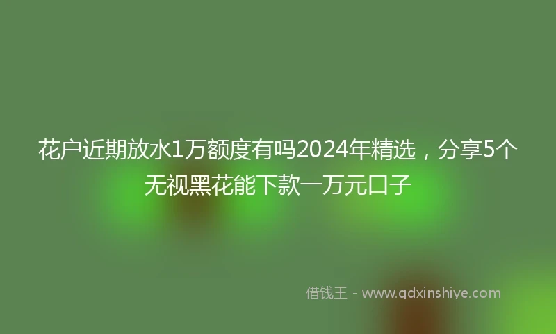 花户近期放水1万额度有吗2024年精选，分享5个无视黑花能下款一万元口子