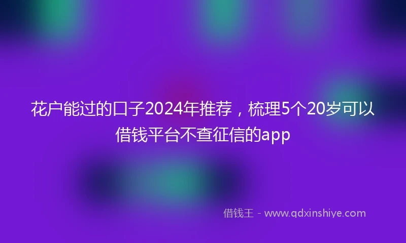 花户能过的口子2024年推荐，梳理5个20岁可以借钱平台不查征信的app