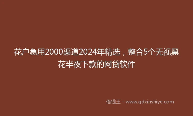 花户急用2000渠道2024年精选,整合5个无视黑花半夜下款的网贷软件