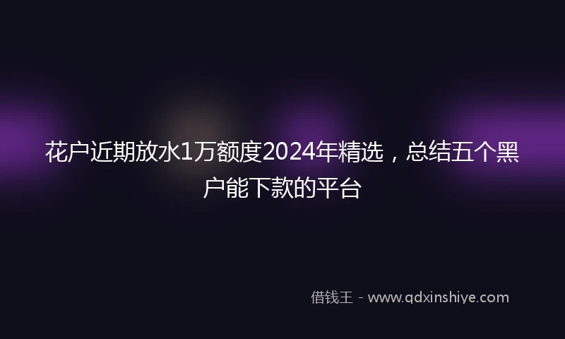 花户近期放水1万额度2024年精选，总结五个黑户能下款的平台