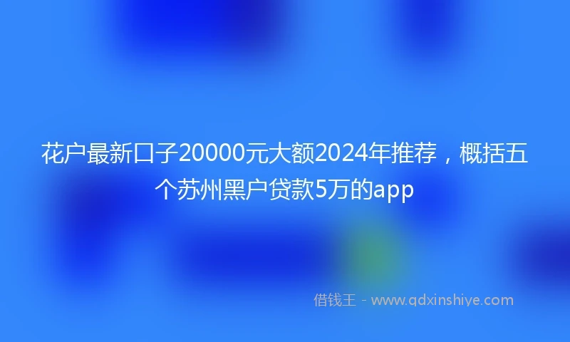花户最新口子20000元大额2024年推荐，概括五个苏州黑户贷款5万的app