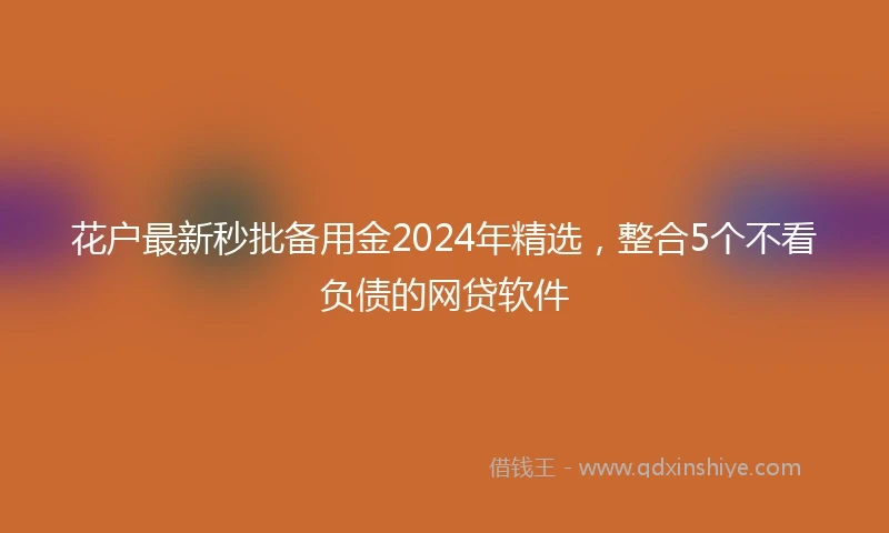 花户最新秒批备用金2024年精选，整合5个不看负债的网贷软件