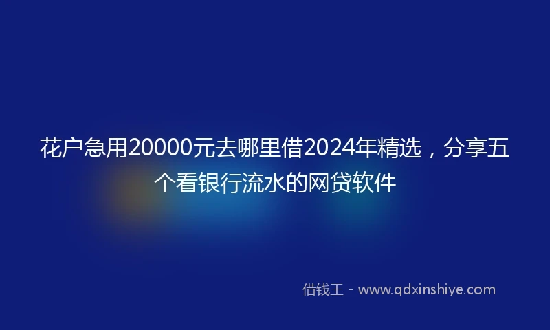 花户急用20000元去哪里借2024年精选，分享五个看银行流水的网贷软件