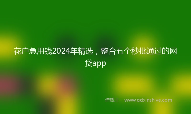 花户急用钱2024年精选,整合五个秒批通过的网贷app