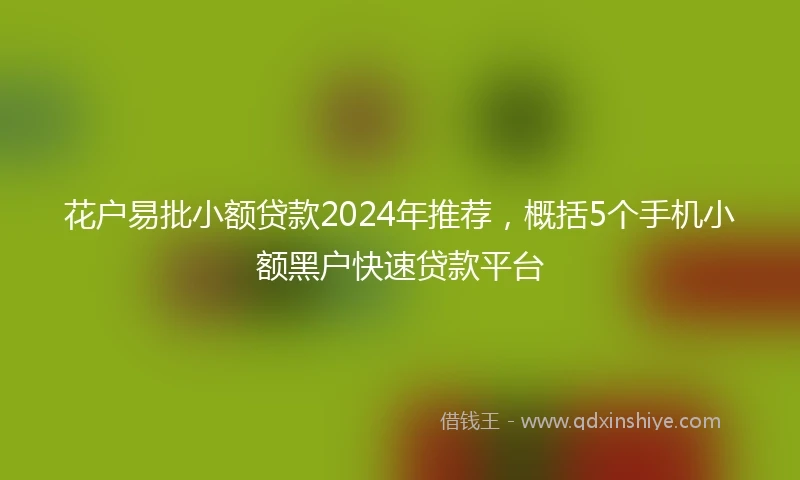 花户易批小额贷款2024年推荐，概括5个手机小额黑户快速贷款平台