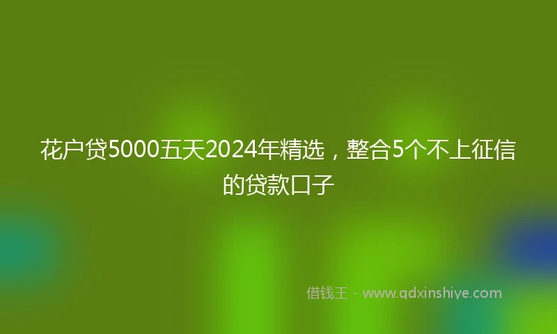 花户贷5000五天2024年精选，整合5个不上征信的贷款口子