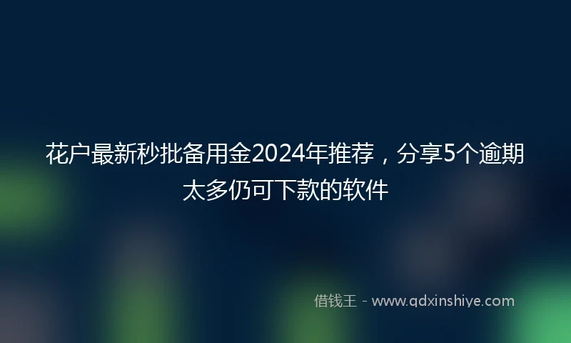 花户最新秒批备用金2024年推荐，分享5个逾期太多仍可下款的软件