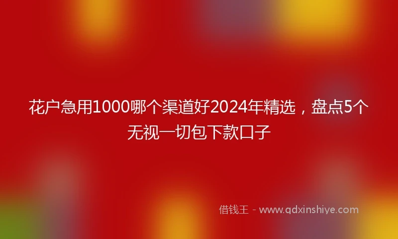 花户急用1000哪个渠道好2024年精选，盘点5个无视一切包下款口子