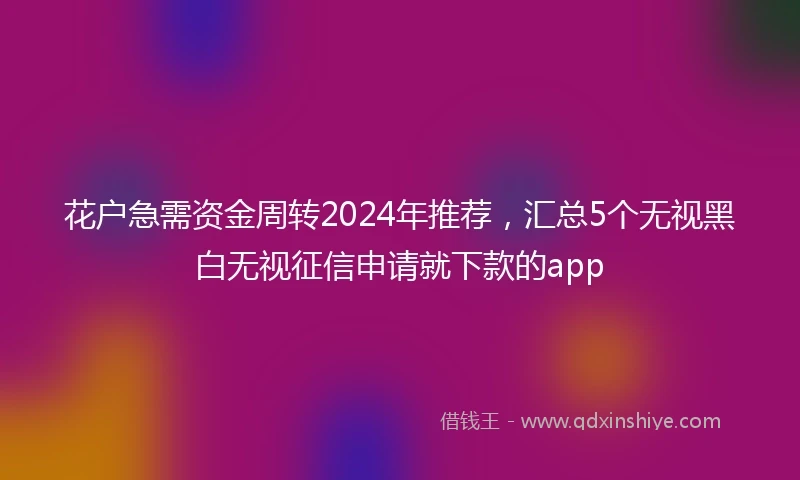 花户急需资金周转2024年推荐，汇总5个无视黑白无视征信申请就下款的app