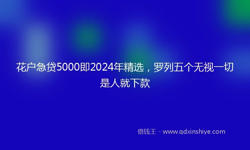 花户急贷5000即2024年精选，罗列五个无视一切是人就下款