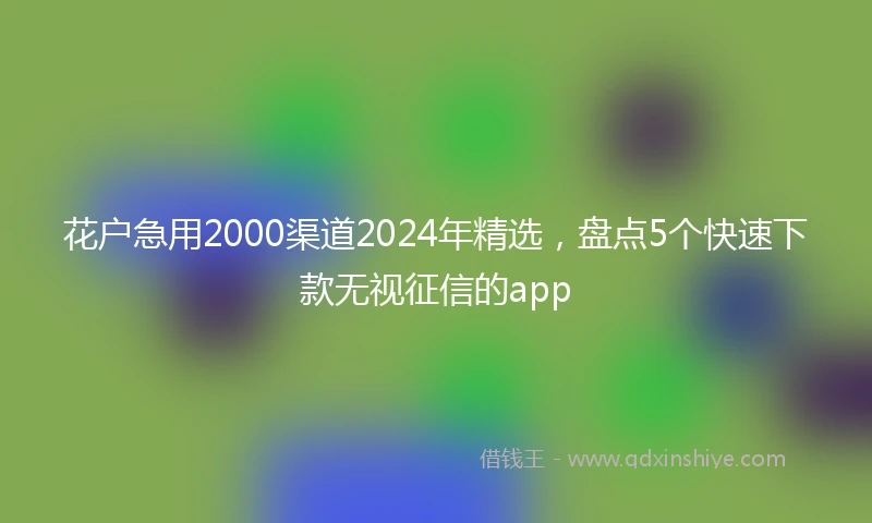 花户急用2000渠道2024年精选,盘点5个快速下款无视征信的app