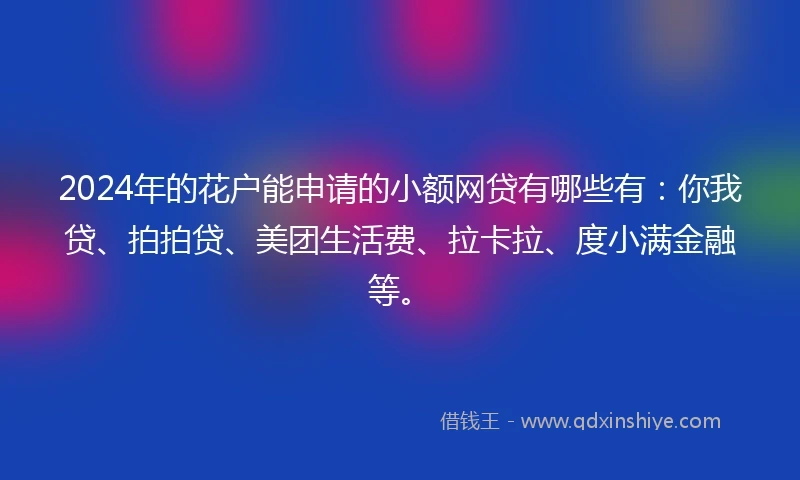 2024年的花户能申请的小额网贷有哪些有：你我贷、拍拍贷、美团生活费、拉卡拉、度小满金融等。